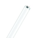 Tubo fluorescente T12, 20W