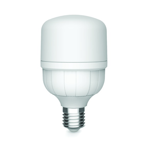 [ILU.06.920] Bombillo LED T, 30W, 2700Lms, 100-240V, 6500K, 20,000hrs, E27, CE